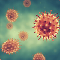 Virus